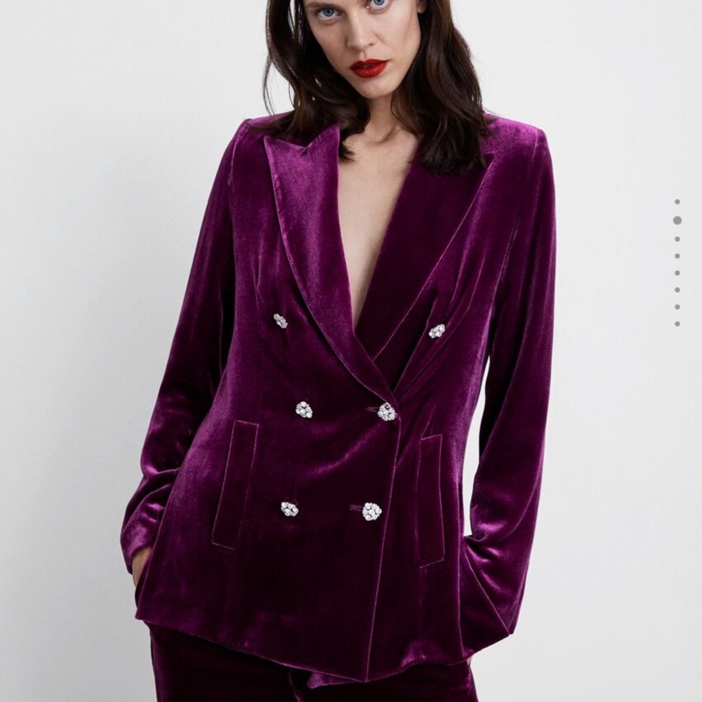 Zara Velvet Blazer and matching pants